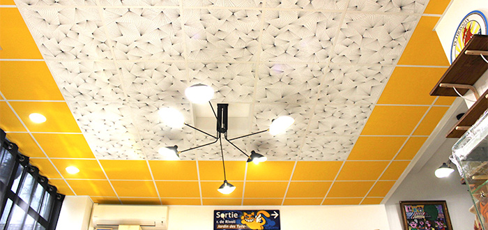 faux plafond couleur dalles ardoise et jaune 2